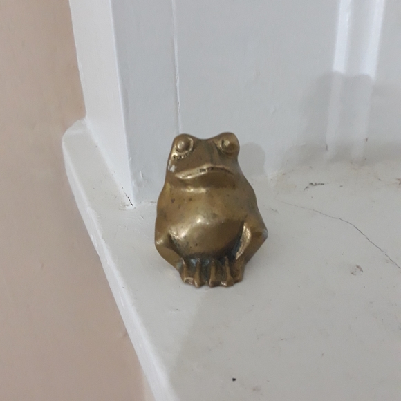 Snooty Amphibian - Picture 5 of 7